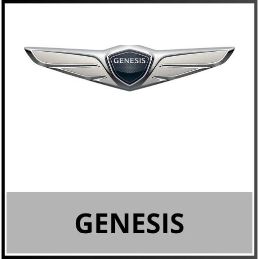 Genesis