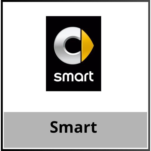 Smart
